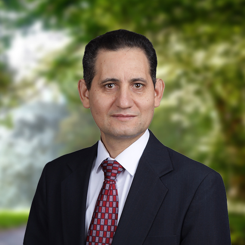 Dr. Maged Mikhail - Faculty at NAMTECH