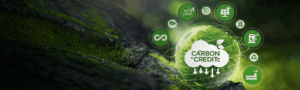 Master’s in Energy & Sustainability